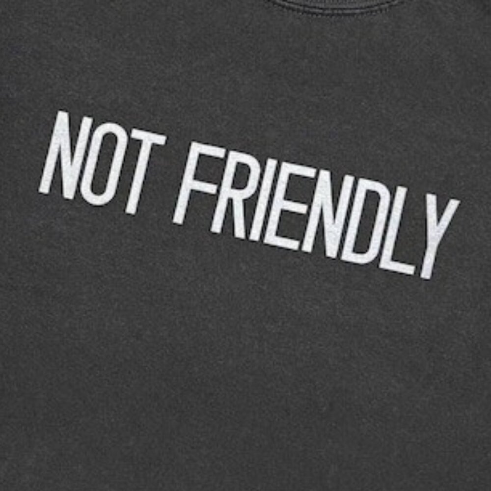 Not Friendly Tee, Funny Dog Lover Tshirt - Picture 2 of 3